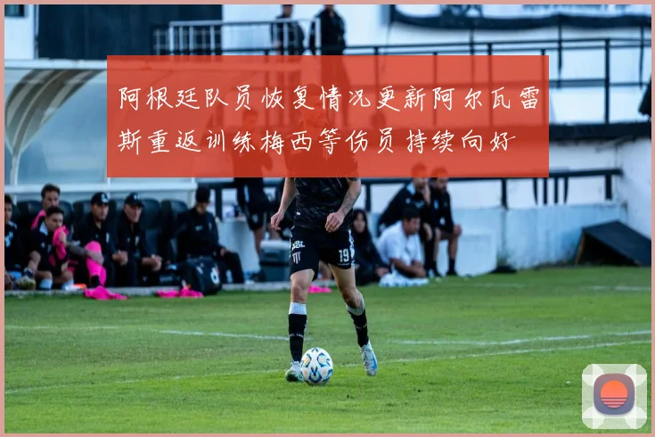 阿根廷队员恢复情况更新阿尔瓦雷斯重返训练梅西等伤员持续向好